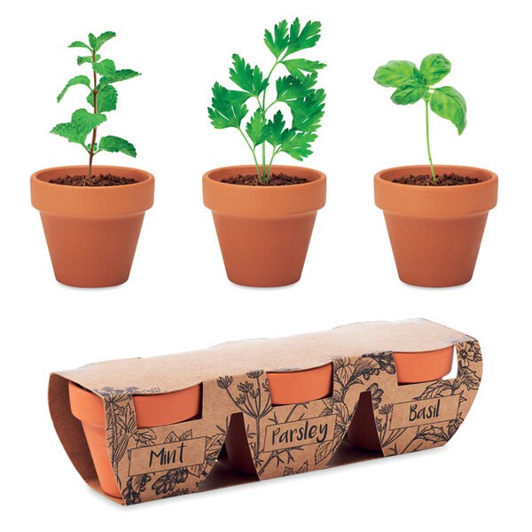 FLOWERPOT Set di erbe in terracotta - GiftRetail MO6145