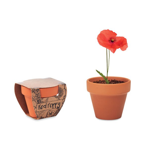 RED POPPY Semi di papavero - GiftRetail MO6148