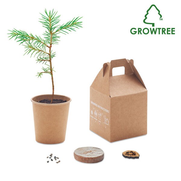 GROWTREE™ Set in legno di pino - GiftRetail MO6228