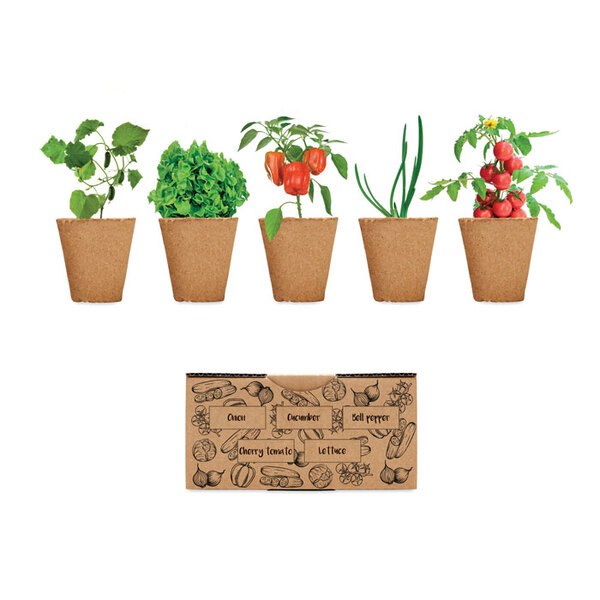 SALAD Kit per coltivare insalata - GiftRetail MO6499