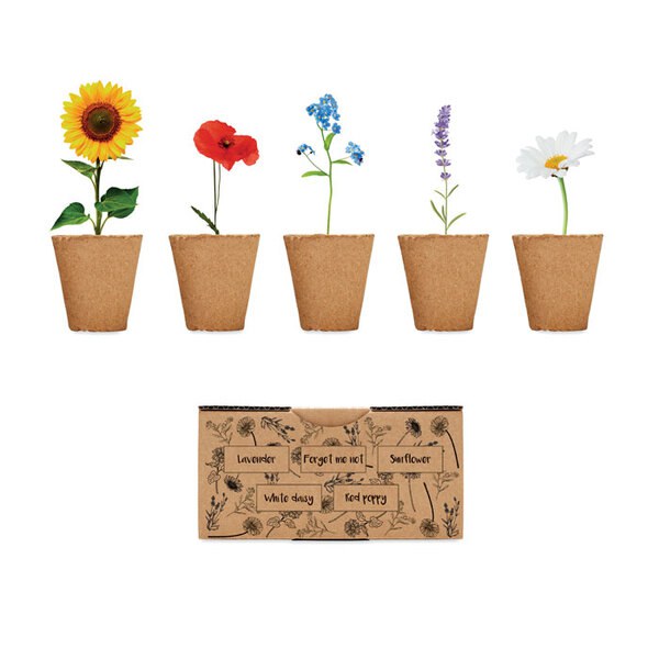 FLOWERS Complete Flower Growing Kit with 5 Seed Varieties - GiftRetail MO6500