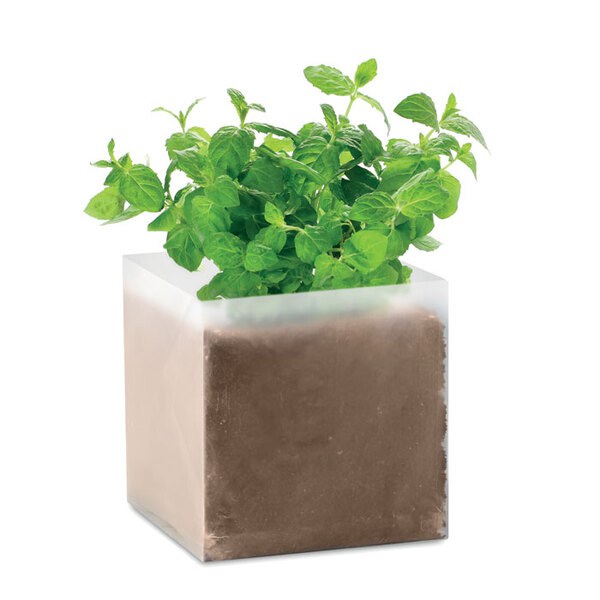 MINT Compost da Giardino con Semi di Menta - GiftRetail MO9546