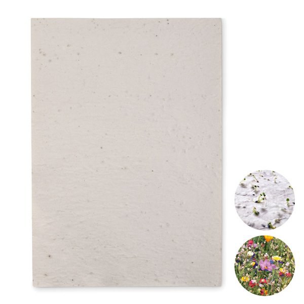 ASIDI Foglio A4 in carta con semi - GiftRetail MO6914