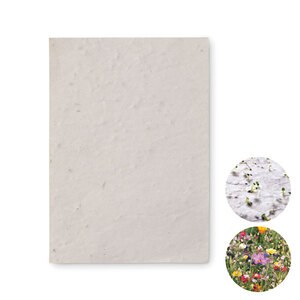 ASIDO Foglio A6 in carta con semi - GiftRetail MO6916